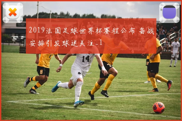 2019法国足球世界杯赛程公布 备战安排引发球迷关注_1