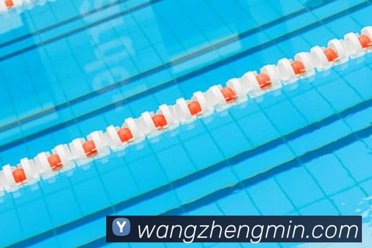 星空官方登录入口APP 体育赛事宣传图